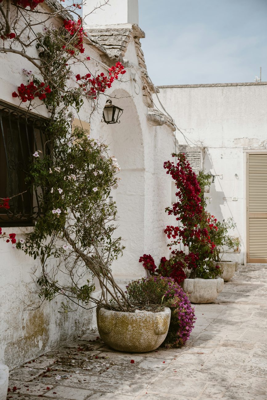 Weiss gekalktes Haus mit roter Bougainvillea, Laterne im Rundbogen und Blumen in Steinkübeln