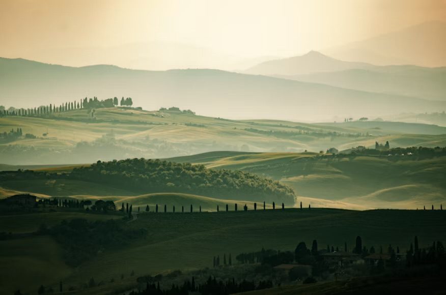 Grüne Hügel der Val d’Orcia im Morgendunst